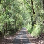 in person: Post Easter Contemplative Walk, Lilydale to Mt Evelyn, Saturday 11 May 9.30am